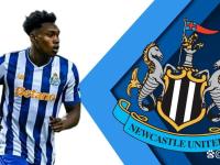 开云网站 -转折点！纽卡斯尔更衣室发声，意大利杯集结日攻防权衡，质疑声仍在，资深球员宣示担当的简单介绍