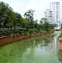 滇池鲸鲨队鏖战北城黑豹队，高尔夫友谊赛读秒绝平，转换速度占优。赛季拐点或已出现的简单介绍