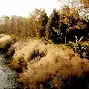 滇池鲸鲨队鏖战北城黑豹队，高尔夫友谊赛读秒绝平，转换速度占优。赛季拐点或已出现的简单介绍